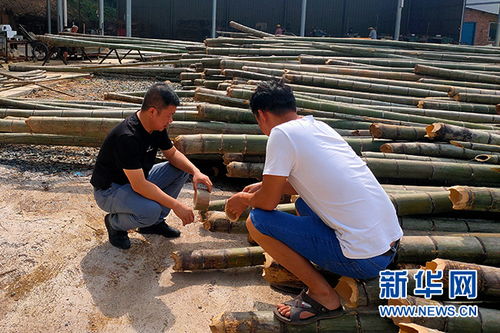 新华网丨湖南决战决胜脱贫攻坚 不同的战场,同样的冲锋